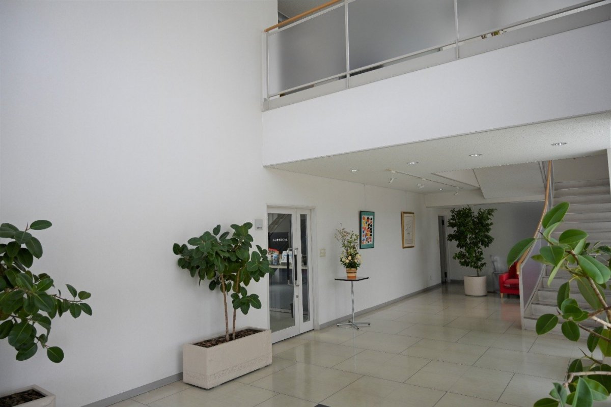 屋内に配置された観葉植物や花