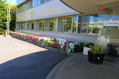 玄関前を彩る鮮やかな花々の植え込み